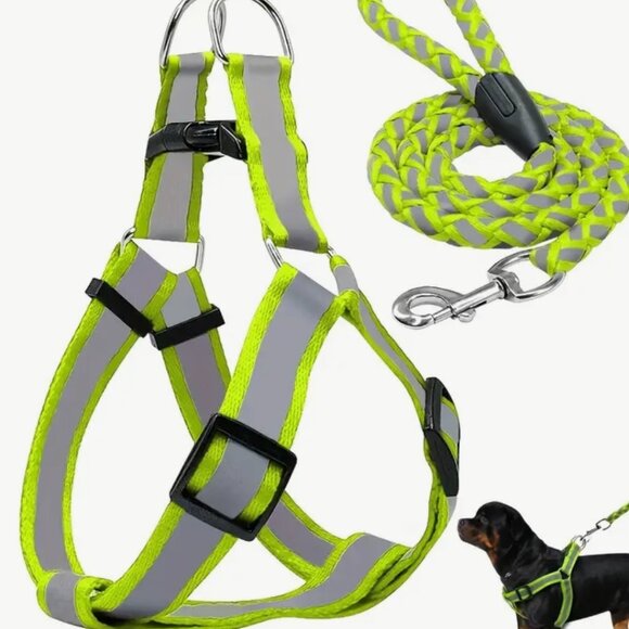 Reflective Dog Harness & Leash Set, Comfortable and Safe for Walking or Training - Picture 5 of 8